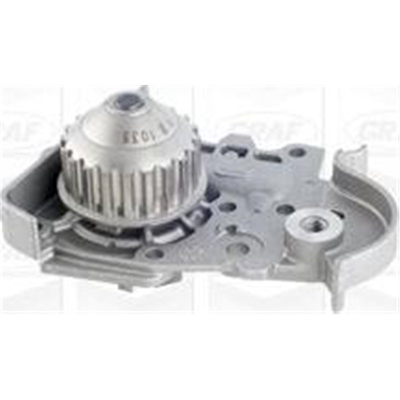 Pompa apa - Graf-PA1035