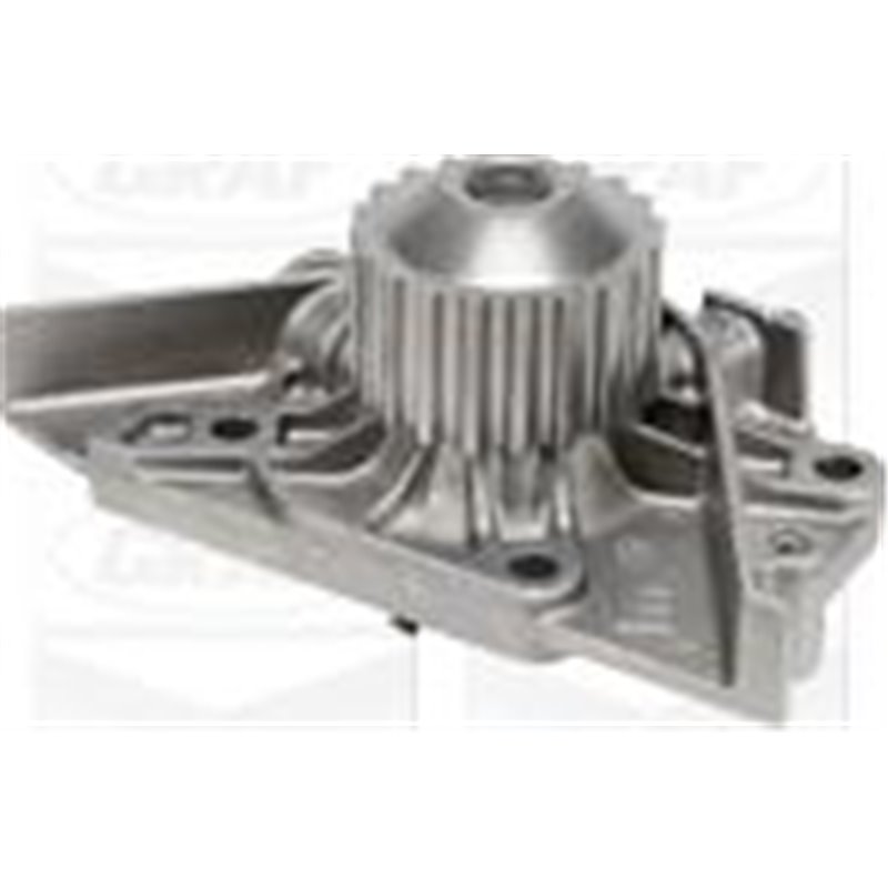 Pompa apa - Graf-PA1044