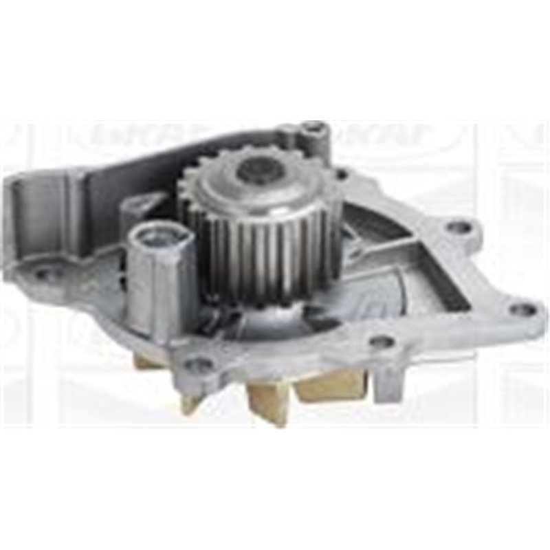 Pompa apa - Graf-PA1049