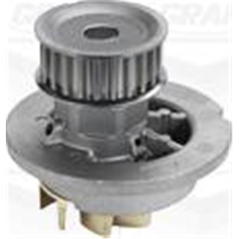 Pompa apa - Graf-PA1061