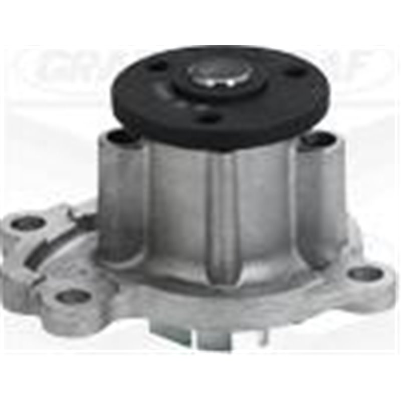 Pompa apa - Graf-PA1065