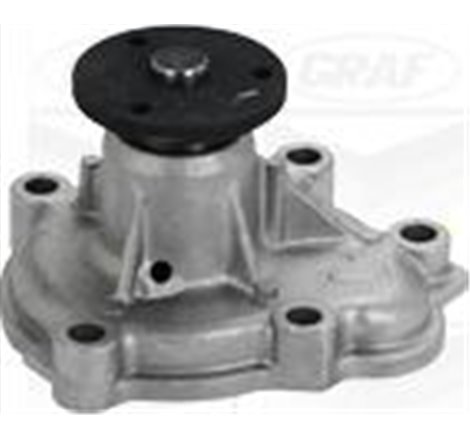 Pompa apa - Graf-PA1077