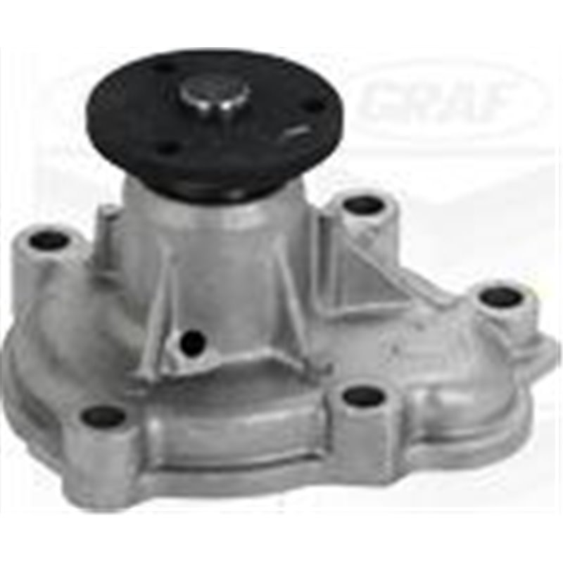 Pompa apa - Graf-PA1077