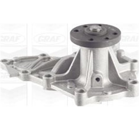 Pompa apa - Graf-PA1099