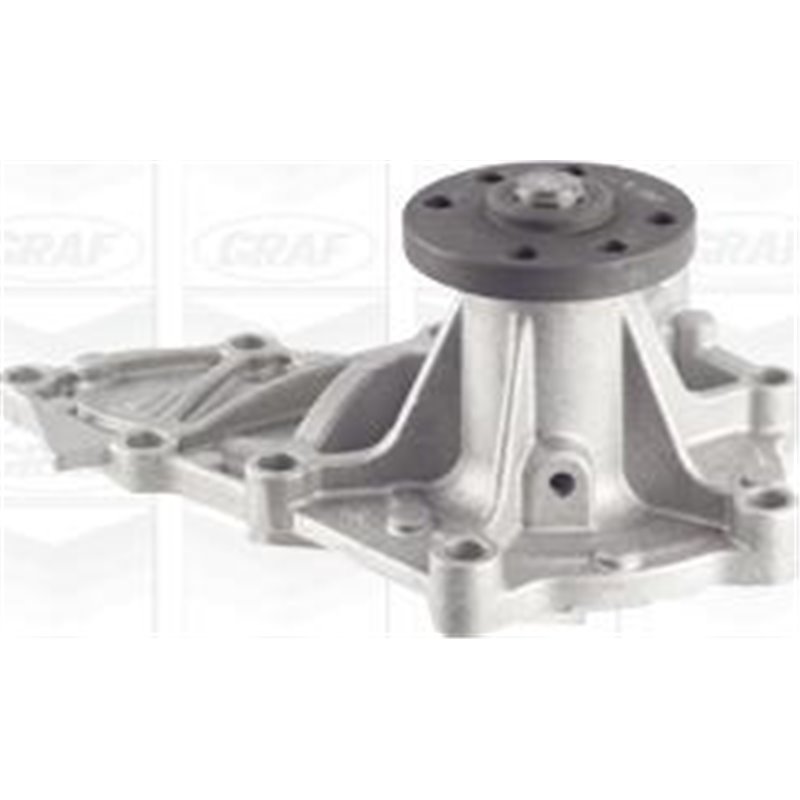 Pompa apa - Graf-PA1099