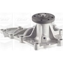 Pompa apa - Graf-PA1099