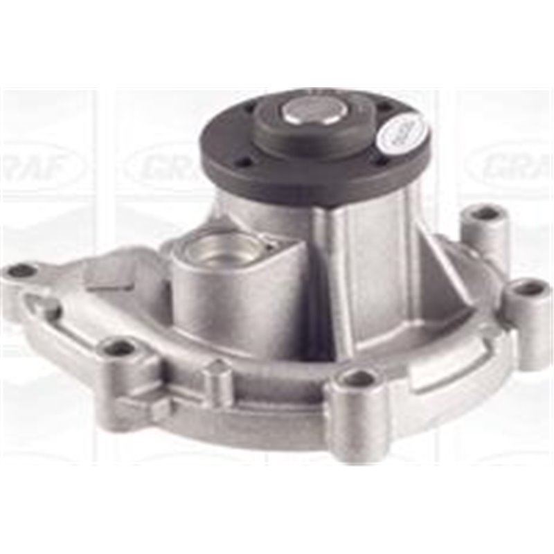 Pompa apa - Graf-PA1111