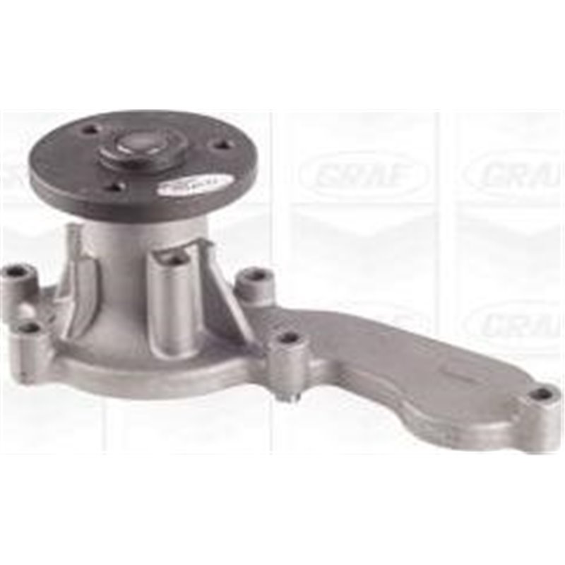 Pompa apa - Graf-PA1119