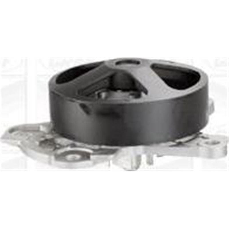 Pompa apa - Graf-PA1134