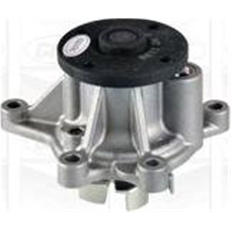 Pompa apa - Graf-PA1136