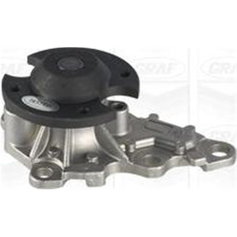 Pompa apa - Graf-PA1160