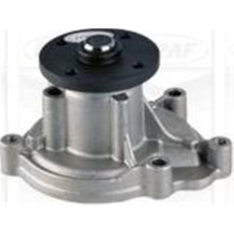 Pompa apa - Graf-PA1179