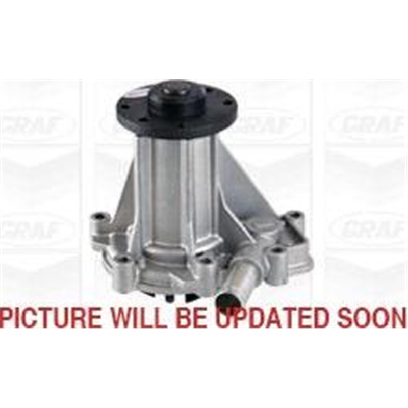 Pompa apa - Graf-PA1190