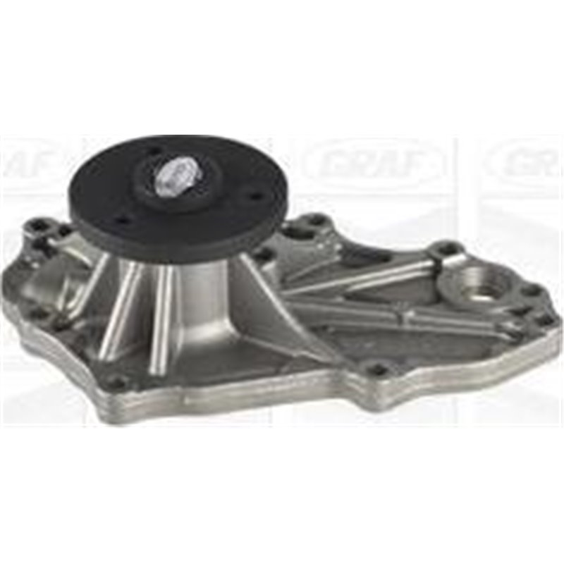 Pompa apa - Graf-PA1191