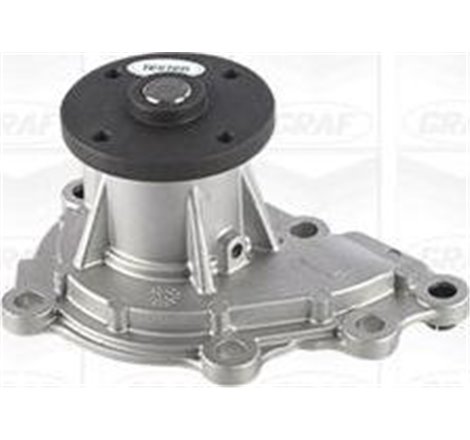 Pompa apa - Graf-PA1196