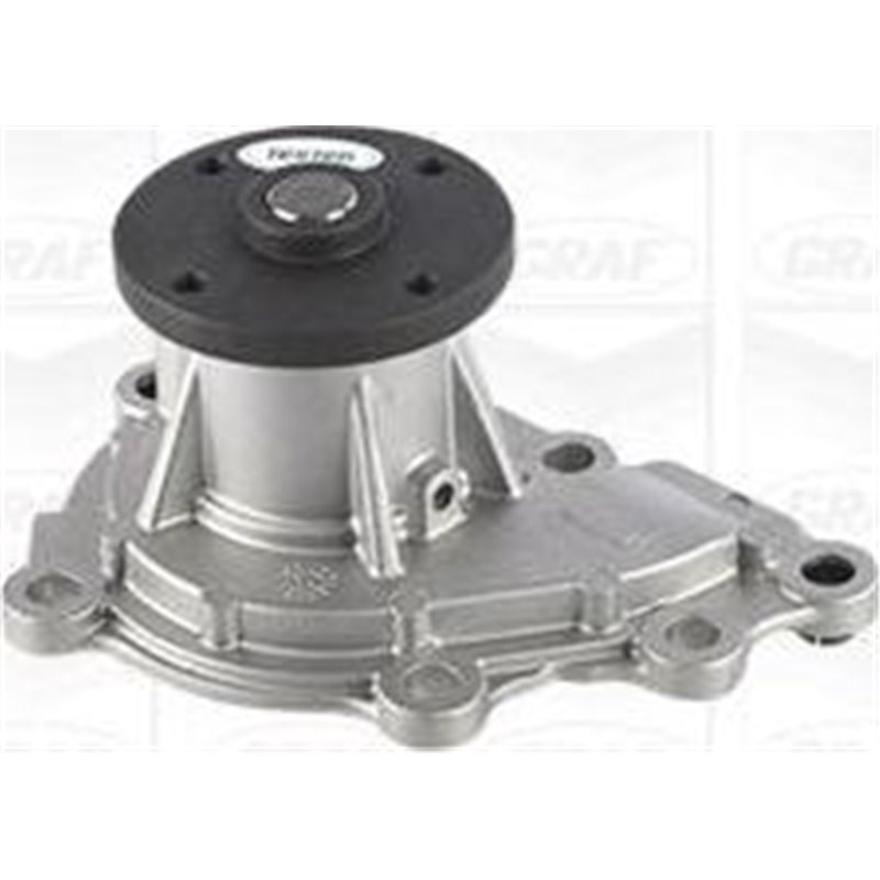 Pompa apa - Graf-PA1196