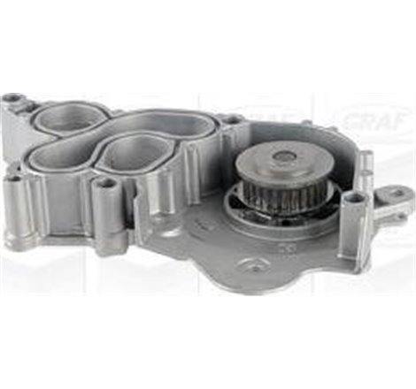 Pompa apa - Graf-PA1218