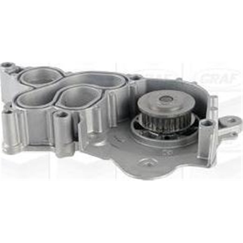 Pompa apa - Graf-PA1218