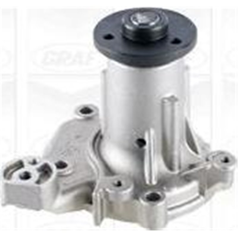 Pompa apa - Graf-PA1233