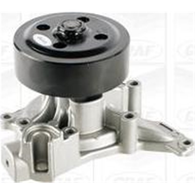 Pompa apa - Graf-PA1241