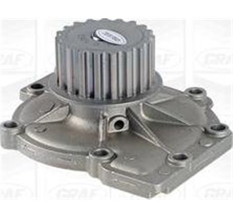 Pompa apa - Graf-PA1263