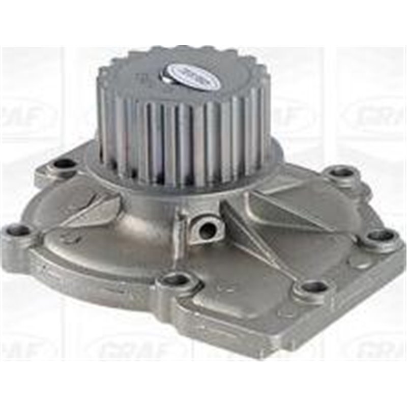 Pompa apa - Graf-PA1263