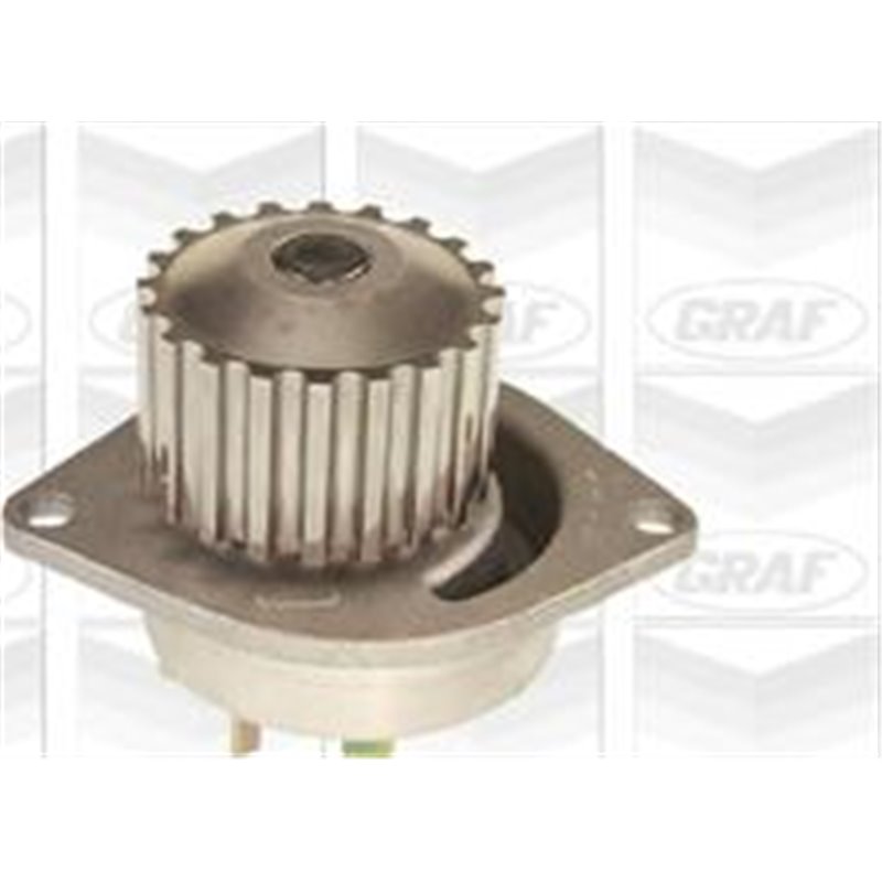 Pompa apa - Graf-PA491