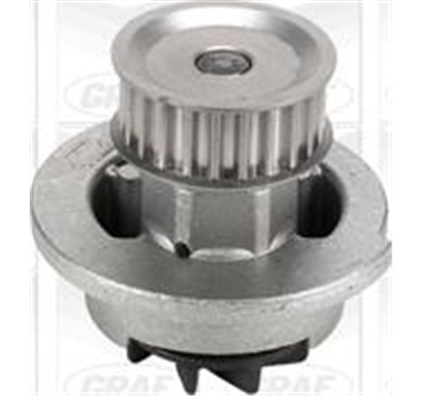 Pompa apa - Graf-PA541