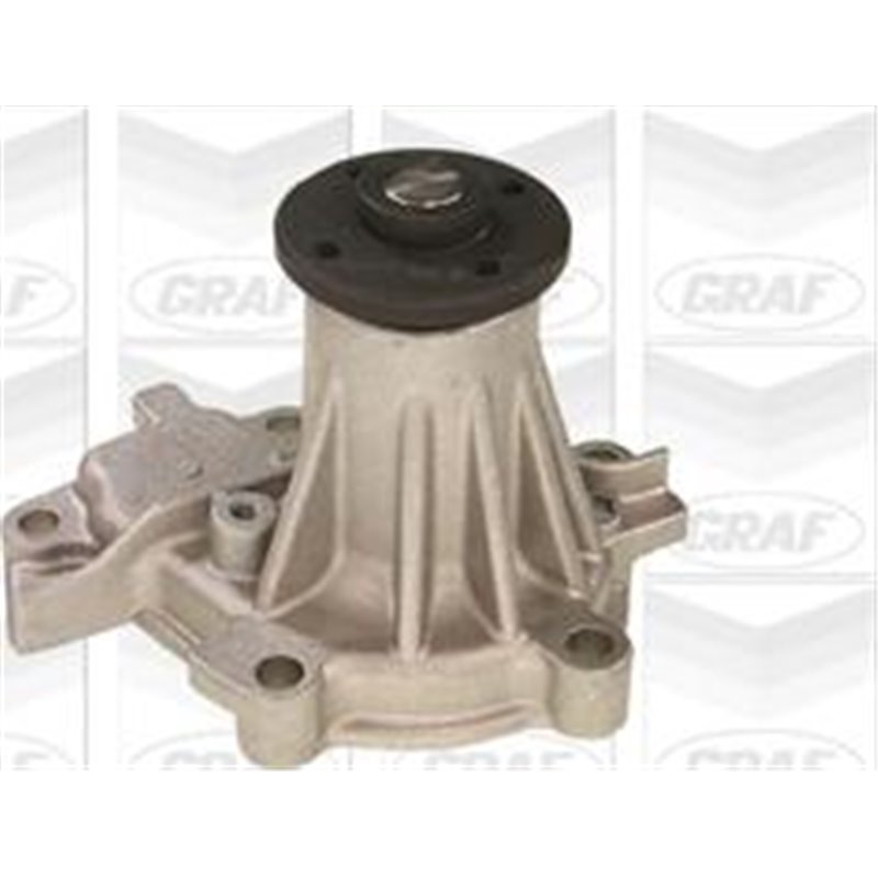 Pompa apa - Graf-PA555