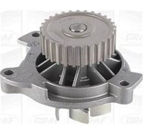 Pompa apa - Graf-PA591