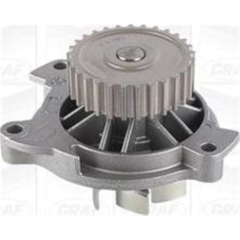 Pompa apa - Graf-PA591