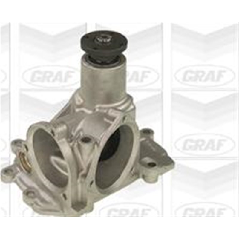 Pompa apa - Graf-PA613