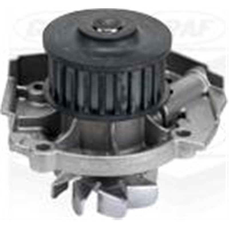 Pompa apa - Graf-PA693