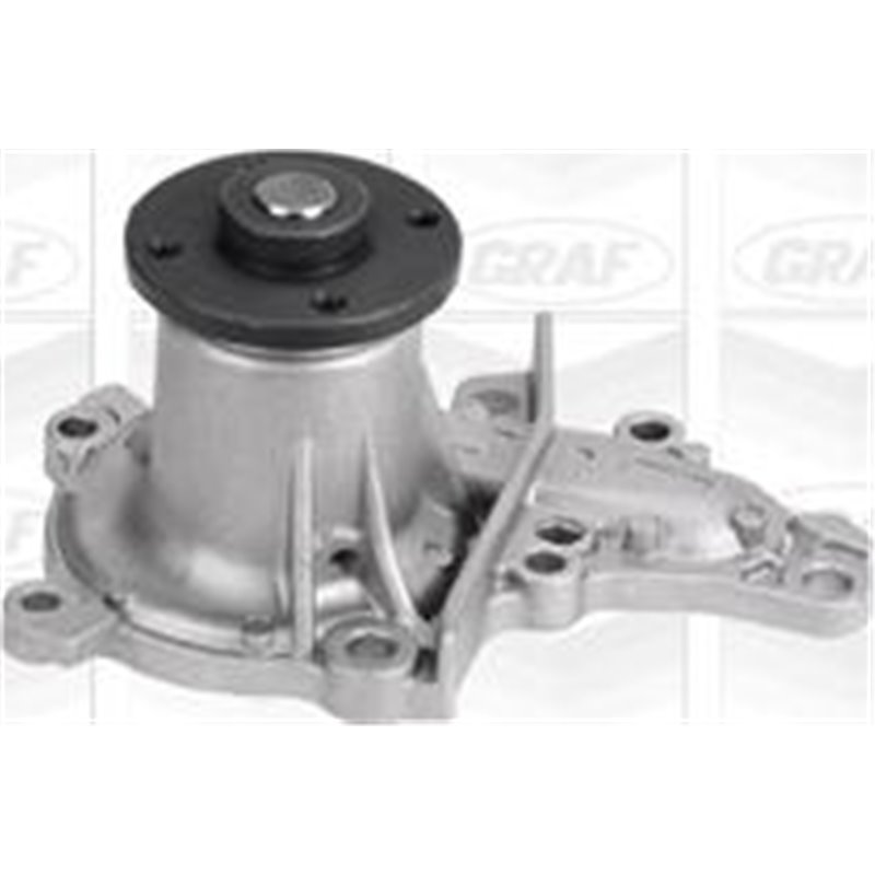 Pompa apa - Graf-PA713