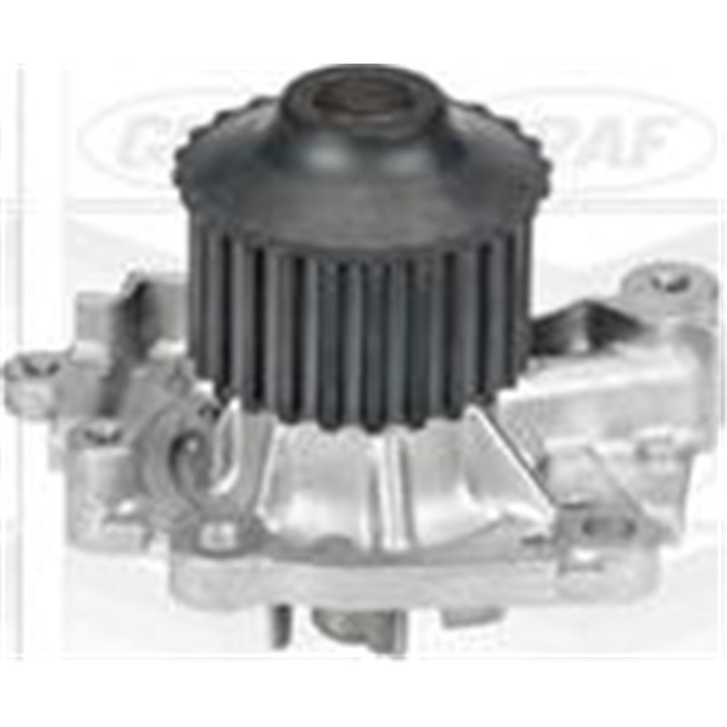 Pompa apa - Graf-PA732