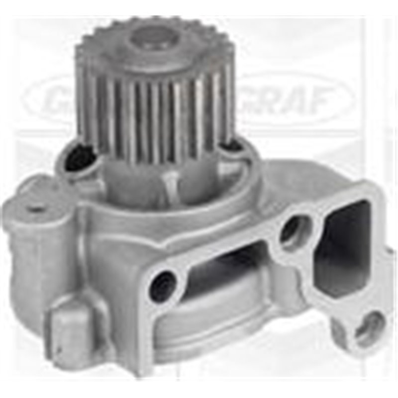 Pompa apa - Graf-PA786