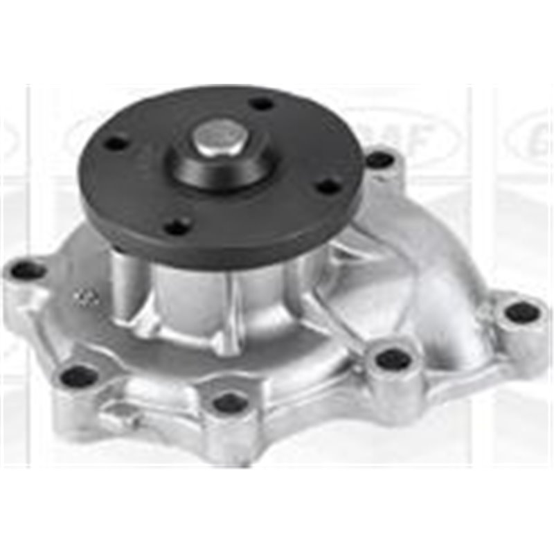 Pompa apa - Graf-PA816