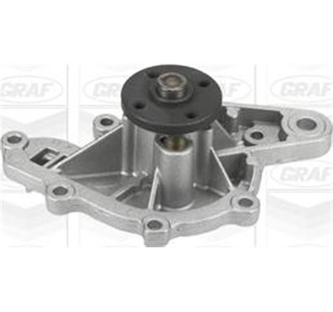 Pompa apa - Graf-PA819