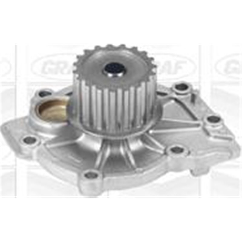 Pompa apa - Graf-PA824