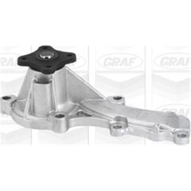 Pompa apa - Graf-PA830