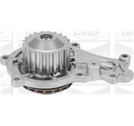 Pompa apa - Graf-PA859