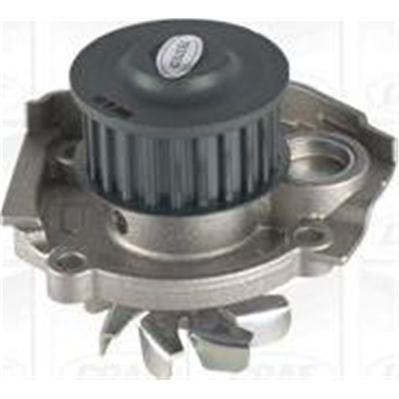 Pompa apa - Graf-PA866