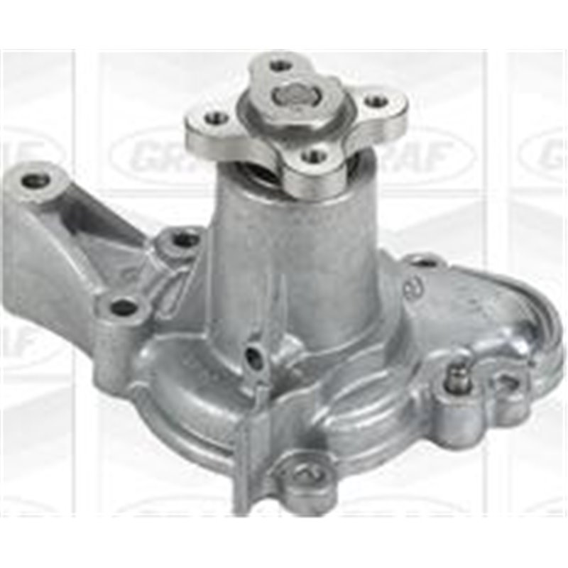 Pompa apa - Graf-PA877