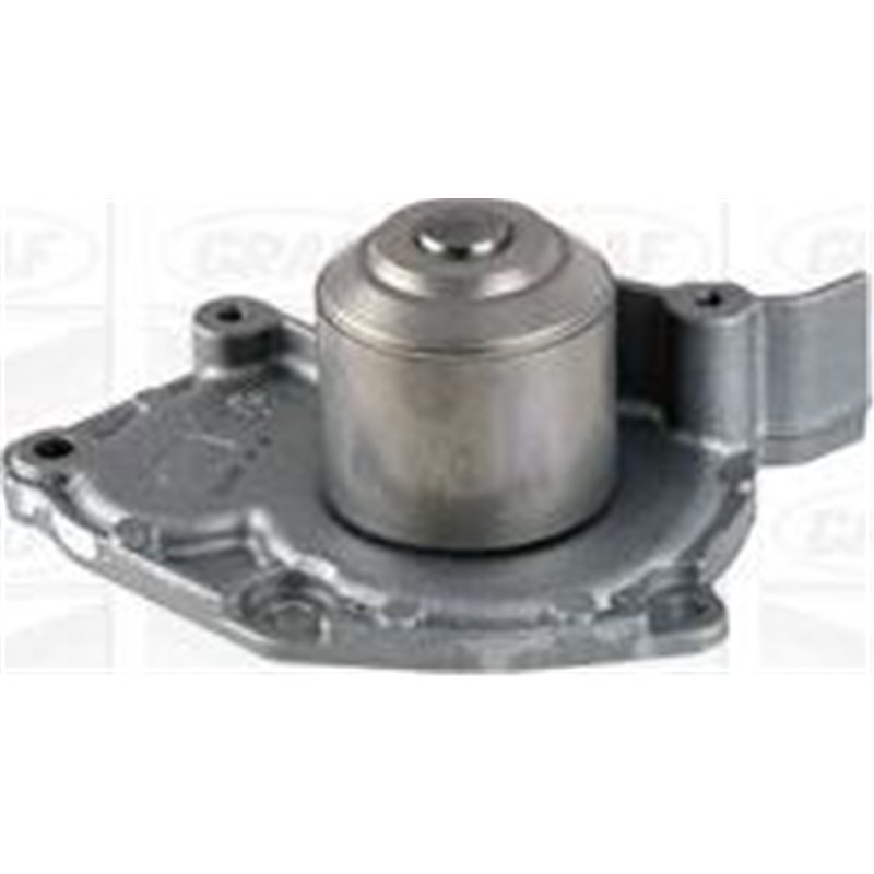 Pompa apa - Graf-PA907