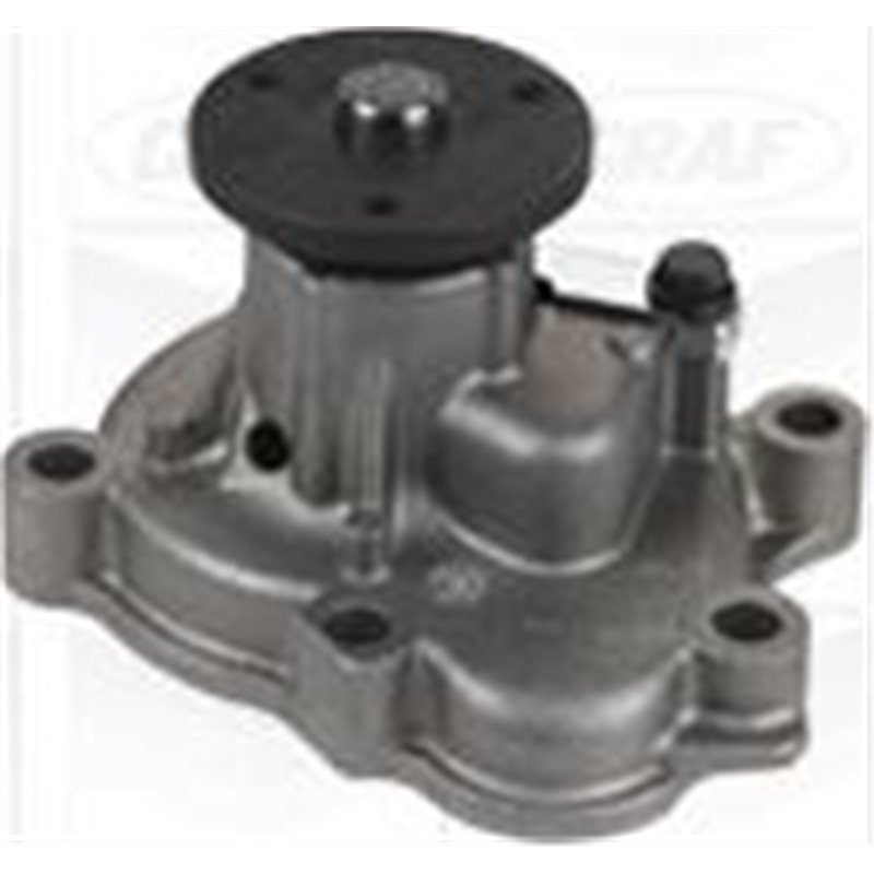 Pompa apa - Graf-PA948