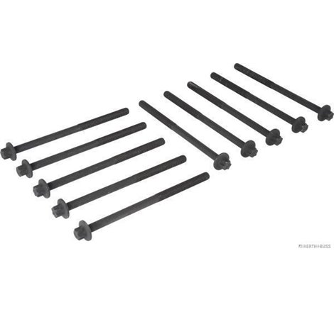 Set surub, chiulasa - Herth+Buss Jakoparts-J1282057