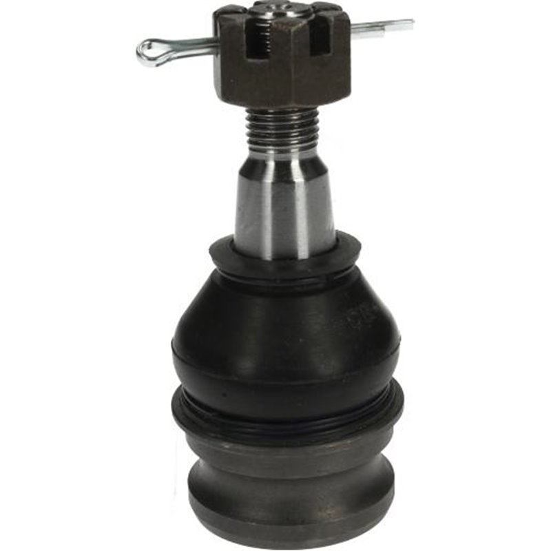 Pivot axa DR-ST inferior fata diametru con 17.1mm SUBARU TRIBECA 3.0-3.6 01.05- - Herth+Buss Jakoparts-J4867004