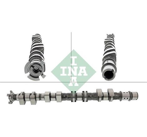 Ax cu came - INA-428017610 - INA-428017610