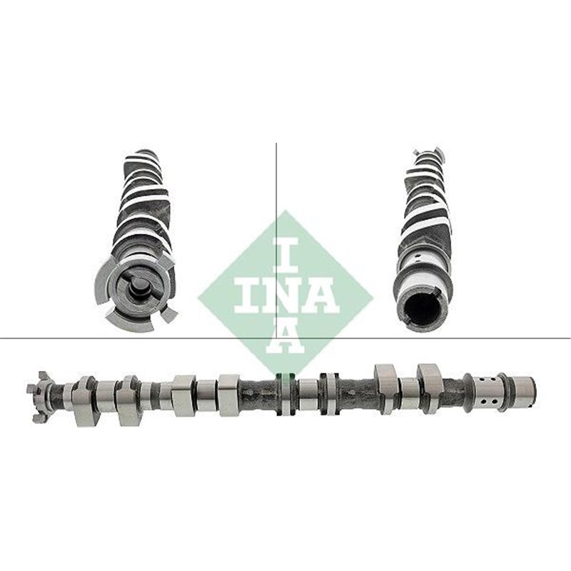 Ax cu came - INA-428017610 - INA-428017610