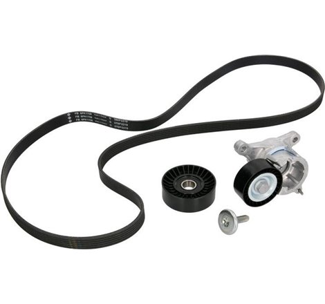 V-belts set with rollers CITROEN C5 I. C5 II. C5 II-KOMBI. C8. EVASION. JUMPY I. XSARA PICASSO. FIAT SCUDO. PEUGEOT 307. 407. 60